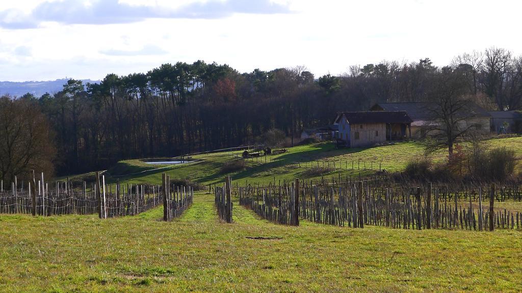 Tamana Tuquet Tentes Mauritannienne Bergerac Extérieur photo